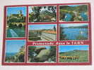 (204) - 1 - Carte Postale Sur Promenade Sur Le Tarn Multivues - Realmont