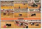 TAUREAUX - CORRIDA - Bull