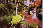 Etats-Unis - Boston - Flower Stalls At The Quincy Market - Boston