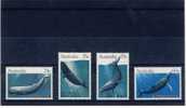 1982 Australia  Whales Complete  Set Of 4 Stamps All MNH - Mint Stamps