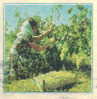 Uba Bulgaria Stationery 1967 GRAPE HARVEST  VINE ETHNIC REGIONAL COSTUMES WOMAN Bulgarien Bulgarie Bulgarije /PS7007 - Vinos Y Alcoholes