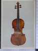 LOMBARDIA - CREMONA - "ANTONIO STRADIVARI"   N. 2838 - Cremona