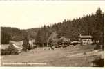 Langewiesen Waldcafe Krannichsruh - Kranichfeld