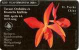 Hungary - St. Psyche China - Orchid - 200ex - Ungarn