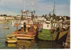 Saint-Quay-Portrieux - Le Port - Reine De L'Arvor & Galvaudeur (1984) - Visvangst