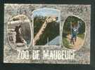 CPSM - Maubeuge (59) - Les Amis Du Zoo ( Multivues  Ours Girafe Singe Flamme Postale Chanson Clair De Lune LA CIGOGNE ) - Maubeuge