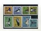 - ENSEMBLE DE TIMBRES DE POLOGNE SUR LES OISEAUX - Unused Stamps