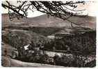 Vallee De La Dore Au Perrier En Aval D Ambert - Ambert