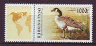 BURKINA FASO 1996. YT N° 977**. Oiseaux En Voie De Disparition - Burkina Faso (1984-...)