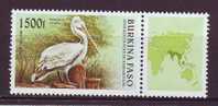 BURKINA FASO 1996. YT N° 978**. Oiseaux En Voie De Disparition - Burkina Faso (1984-...)