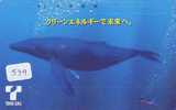 DOLPHIN DAUPHIN Dolfijn DELPHIN Tier Animal (539) Telecarte Japan * - Delfines
