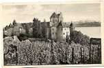 MEERSBURG (BODENSEE) ALTES SCHLOSS U. SÄNTIS. - Meersburg