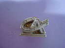 Pin's LOGO CREDIT AGRICOLE Couleur   Argent - Banks