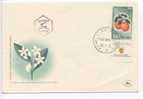 Israel FDC 20-5-1956 With  Tab And Cachet - FDC