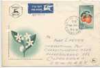 Israel FDC 20-5-1956 With  Cachet And Sent To Denmark - FDC