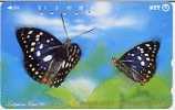 @+ Carte Du Japon : Papillon - Schmetterlinge