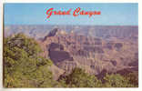 M1674 -  Grand Canyon - Grand Canyon