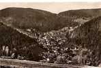 TRIBERG 685m ü M. / SCHWARZWALD. - Triberg