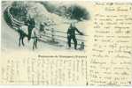 Schweiz/Suisse: CPA Paysannes De Champéry (Valais), 2 Femmes Avec Cheval (2 Frauen Mit Pferd) 1900, 3 Scans - Champéry