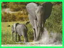 AFRICAN ELEPHANT AND CALF - ÉLÉPHANT AFRICAIN ET SON PETIT - CIRCULÉE EN 1969 - - Éléphants