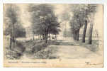 C8236 - RUYSBROECK - Vue Prise à L'entrée Du Village - St-Pieters-Woluwe - Woluwe-St-Pierre