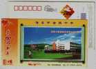 Children Kite Playing,China 2008 Huai'an Jinying High School Advertising Pre-stamped Card - Sin Clasificación