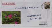 Sparrow Bird,China 2002 Birds Song And Flowers Fragrance Advertising Post Stationery Envelope - Sparrows