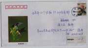 Sparrow Bird And Flowers,China 2002 Birds Song And Flowers Fragrance Advertising Post Stationery Envelope - Passeri