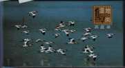 Swan,crane,duck,goose,Chi Na  2007 Set Of 16 Dongtinghu Lake Wetland Pre-stamped Cards In Folder - Kranichvögel