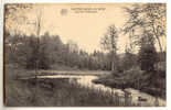 C6355 - Notre-Dame-au Bois - Lac De L' Arboratum - Overijse