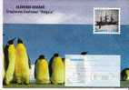 Rum056a/ RUMÄNIEN -   Priv. GA (3 Stück) Antarktik (Antarctic) 1997. Pinguine, Segelschiff, Kapitän - Briefe U. Dokumente