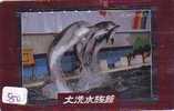 DOLPHIN DAUPHIN Dolfijn DELPHIN Tier Animal (550) Telecarte Japan * - Dauphins