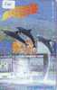 DOLPHIN DAUPHIN Dolfijn DELPHIN Tier Animal (565)  * Telefonkarte Telecarte Japan * - Dolfijnen