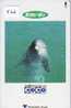 DOLPHIN DAUPHIN Dolfijn DELPHIN Tier Animal (566) Telecarte Japan * - Dolfijnen