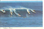 Surfing In HAWAII - Sonstige & Ohne Zuordnung