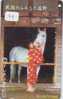 CHEVAL PFERD REITEN Horse Paard Caballo (99) - Horses
