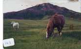 CHEVAL PFERD REITEN Horse Paard Caballo (107) - Caballos
