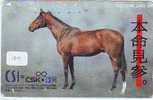 CHEVAL PFERD REITEN Horse Paard Caballo (109) - Horses