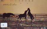 CHEVAL PFERD REITEN Horse Paard Caballo (110) - Horses