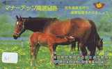 CHEVAL PFERD REITEN Horse Paard Caballo (111) - Horses