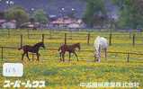 CHEVAL PFERD REITEN Horse Paard Caballo (113) - Chevaux