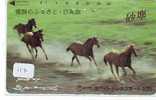 CHEVAL PFERD REITEN Horse Paard Caballo (117) - Paarden