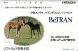 CHEVAL PFERD REITEN Horse Paard Caballo (123) - Pferde
