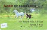 CHEVAL PFERD REITEN Horse Paard Caballo (128) - Pferde