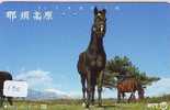 CHEVAL PFERD REITEN Horse Paard Caballo (130) - Paarden