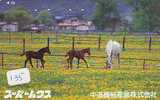 CHEVAL PFERD REITEN Horse Paard Caballo (135) - Chevaux