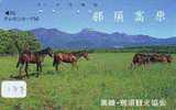 CHEVAL PFERD REITEN Horse Paard Caballo (137) - Paarden