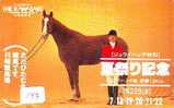 CHEVAL PFERD REITEN Horse Paard Caballo (147) - Chevaux