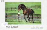 CHEVAL PFERD REITEN Horse Paard Caballo (184) - Pferde