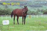 CHEVAL PFERD REITEN Horse Paard Caballo (186) - Cavalli